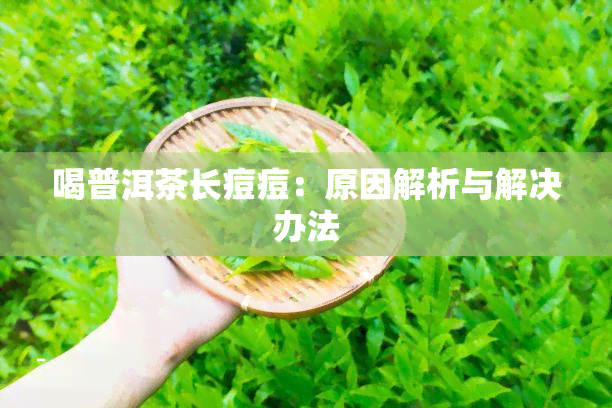 喝普洱茶长痘痘：原因解析与解决办法