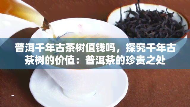 普洱千年古茶树值钱吗，探究千年古茶树的价值：普洱茶的珍贵之处