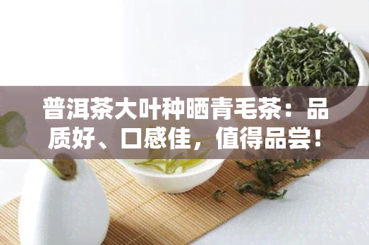 普洱茶大叶种晒青毛茶：品质好、口感佳，值得品尝！