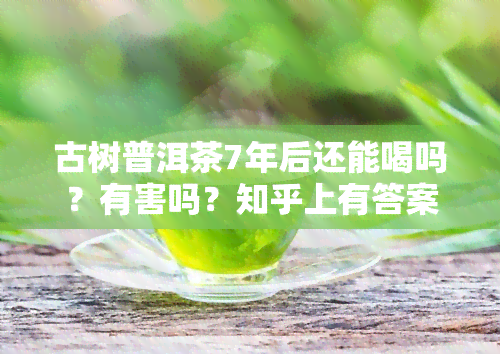 古树普洱茶7年后还能喝吗？有害吗？知乎上有答案吗？