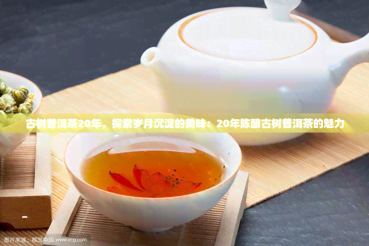 古树普洱茶20年，探索岁月沉淀的美味：20年陈酿古树普洱茶的魅力