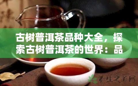 古树普洱茶品种大全，探索古树普洱茶的世界：品种大全解析