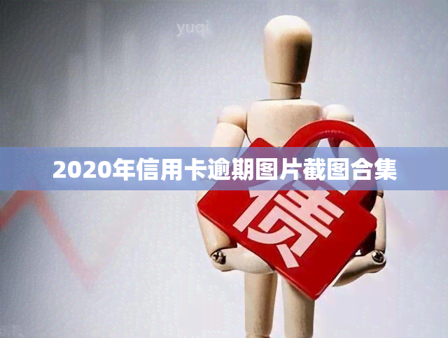 2020年信用卡逾期图片截图合集