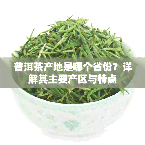 普洱茶产地是哪个省份？详解其主要产区与特点