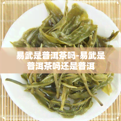 易武是普洱茶吗-易武是普洱茶吗还是普洱