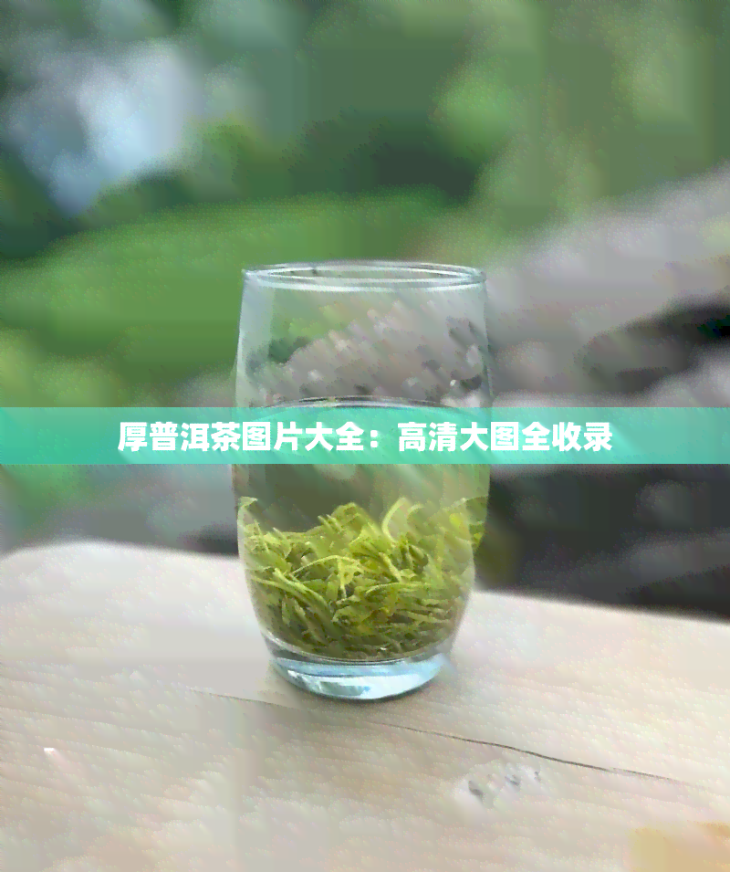 厚普洱茶图片大全：高清大图全收录