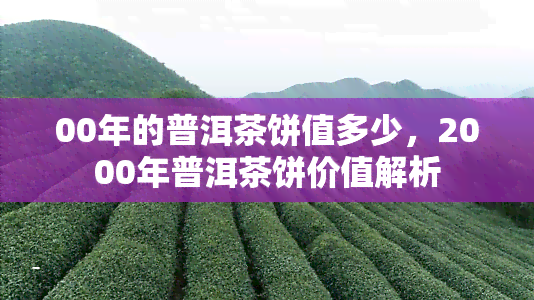 00年的普洱茶饼值多少，2000年普洱茶饼价值解析