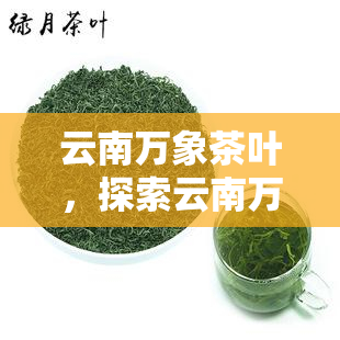 云南万象茶叶，探索云南万象茶叶：品味独特的普洱茶文化