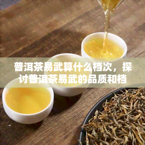 普洱茶易武算什么档次，探讨普洱茶易武的品质和档次，你了解多少？