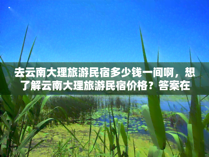 去云南大理旅游民宿多少钱一间啊，想了解云南大理旅游民宿价格？答案在这里！