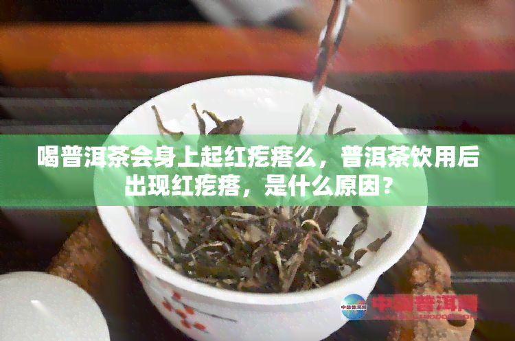 喝普洱茶会身上起红疙瘩么，普洱茶饮用后出现红疙瘩，是什么原因？