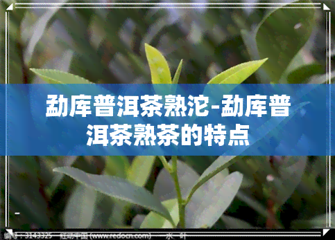 勐库普洱茶熟沱-勐库普洱茶熟茶的特点