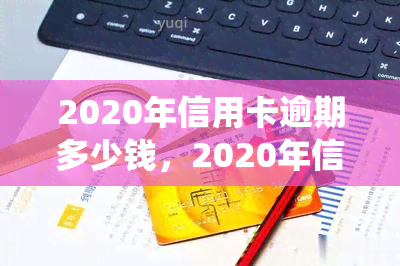 2020年信用卡逾期多少钱，2020年信用卡逾期金额统计与分析