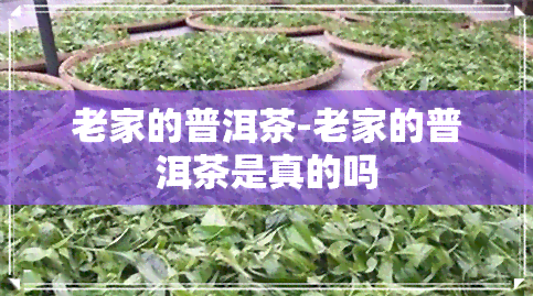 老家的普洱茶-老家的普洱茶是真的吗