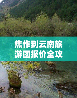 焦作到云南旅游团报价全攻略：最新价格、行程安排及注意事项