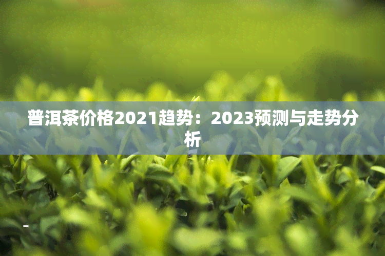 普洱茶价格2021趋势：2023预测与走势分析