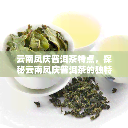 云南凤庆普洱茶特点，探秘云南凤庆普洱茶的独特魅力与特点