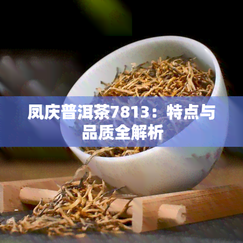 凤庆普洱茶7813：特点与品质全解析