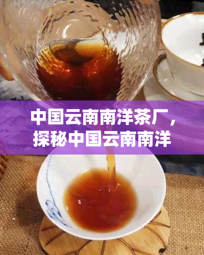 中国云南南洋茶厂，探秘中国云南南洋茶厂：传统与现代的完美融合