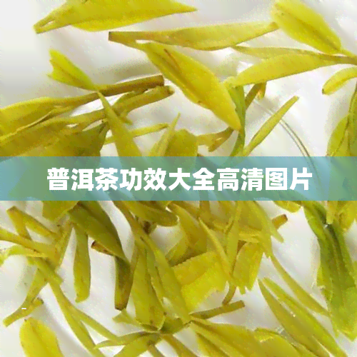 普洱茶功效大全高清图片