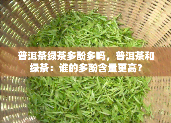 普洱茶绿茶多酚多吗，普洱茶和绿茶：谁的多酚含量更高？