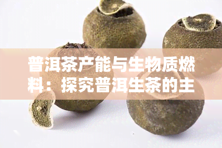 普洱茶产能与生物质燃料：探究普洱生茶的主体功能物质及发酵类型