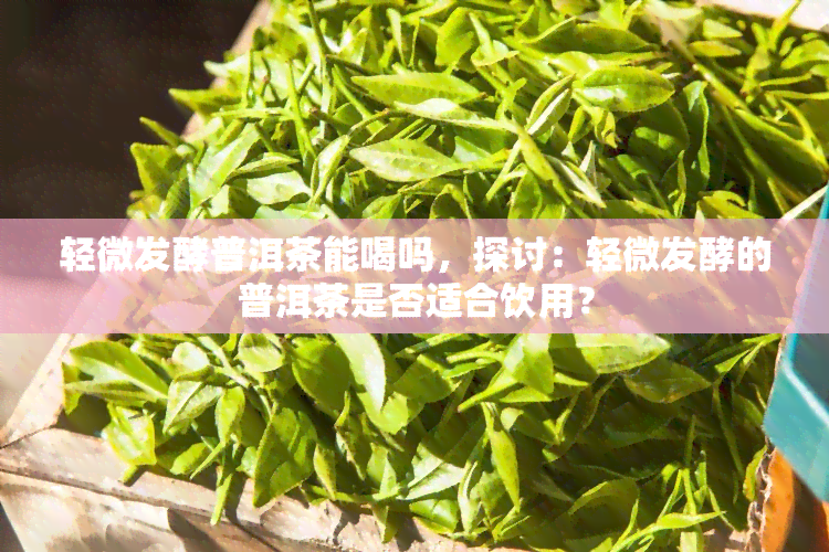 轻微发酵普洱茶能喝吗，探讨：轻微发酵的普洱茶是否适合饮用？