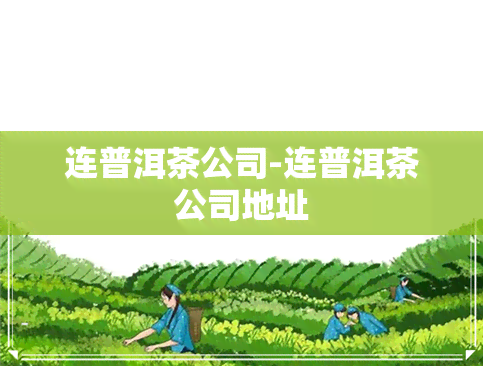 连普洱茶公司-连普洱茶公司地址