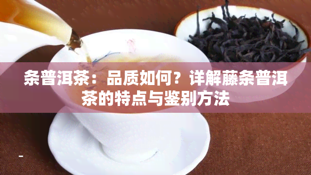 条普洱茶：品质如何？详解藤条普洱茶的特点与鉴别方法