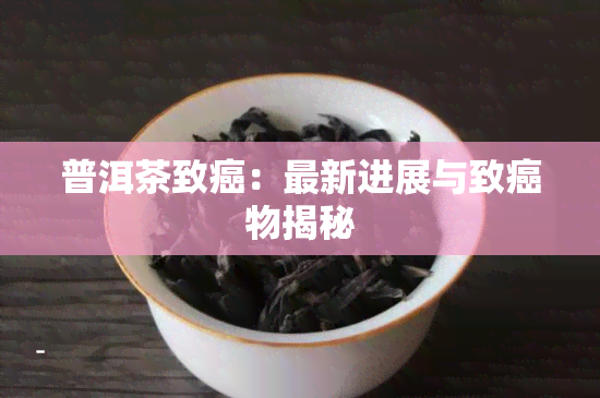 普洱茶致癌：最新进展与致癌物揭秘