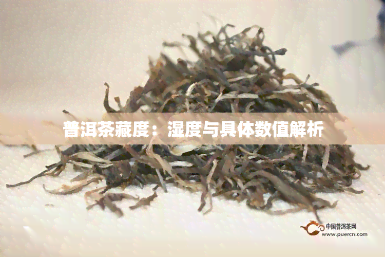 普洱茶藏度：湿度与具体数值解析