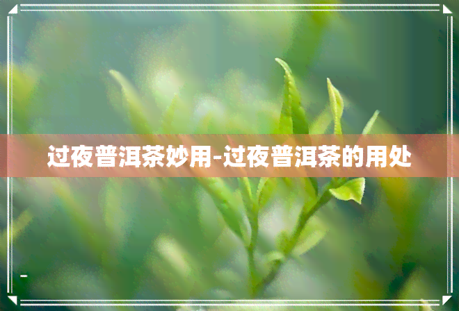 过夜普洱茶妙用-过夜普洱茶的用处