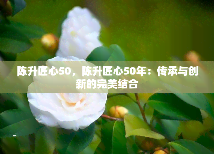 陈升匠心50，陈升匠心50年：传承与创新的完美结合