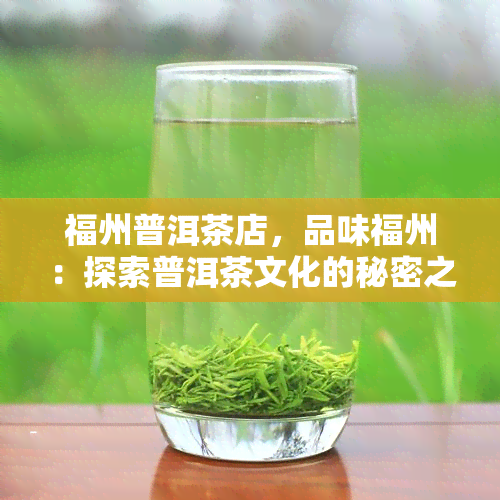 福州普洱茶店，品味福州：探索普洱茶文化的秘密之地——福州普洱茶店