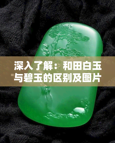 深入了解：和田白玉与碧玉的区别及图片展示