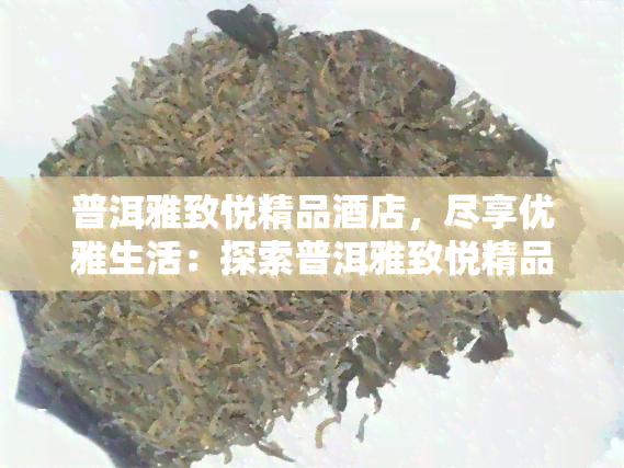 普洱雅致悦精品酒店，尽享优雅生活：探索普洱雅致悦精品酒店