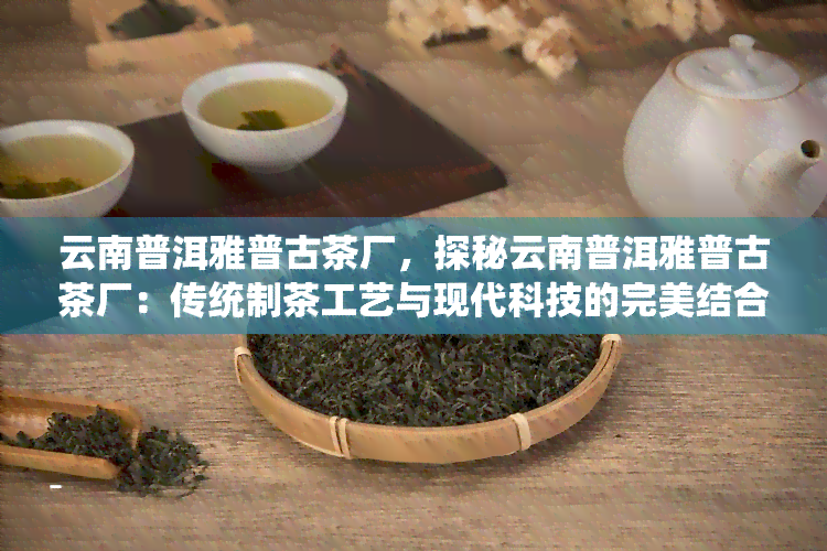 云南普洱雅普古茶厂，探秘云南普洱雅普古茶厂：传统制茶工艺与现代科技的完美结合