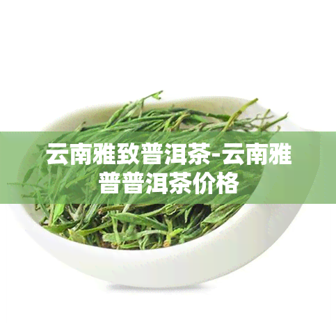 云南雅致普洱茶-云南雅普普洱茶价格