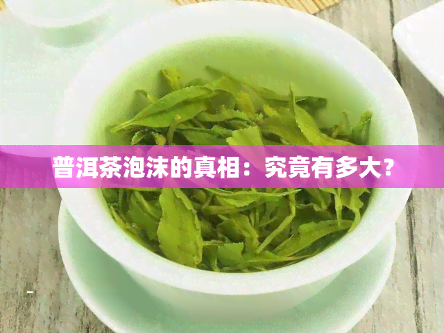 普洱茶泡沫的真相：究竟有多大？