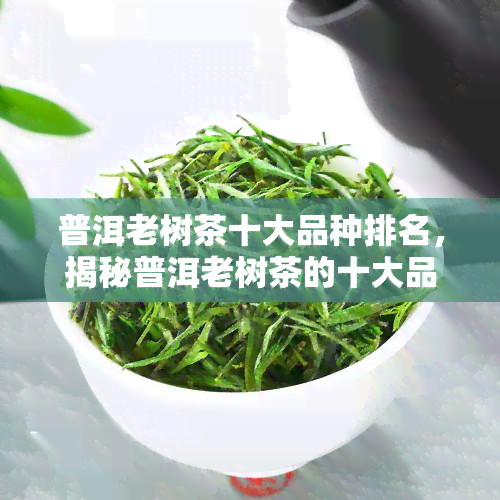 普洱老树茶十大品种排名，揭秘普洱老树茶的十大品种，哪一种才是你的更爱？