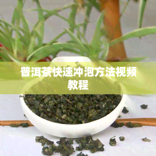 普洱茶快速冲泡方法视频教程