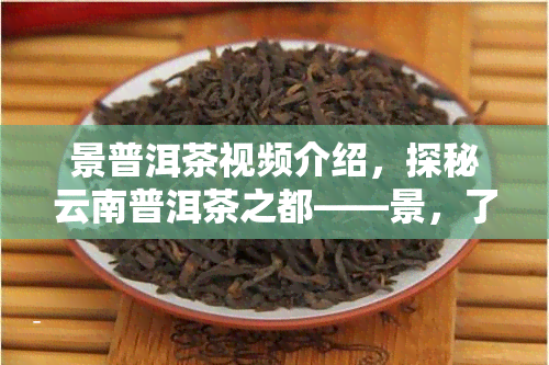 景普洱茶视频介绍，探秘云南普洱茶之都——景，了解其独特魅力与制作过程的视频介绍