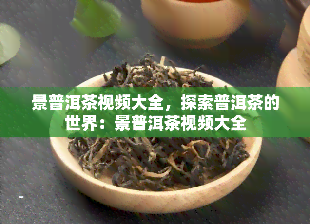 景普洱茶视频大全，探索普洱茶的世界：景普洱茶视频大全