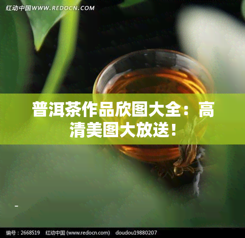 普洱茶作品欣图大全：高清美图大放送！