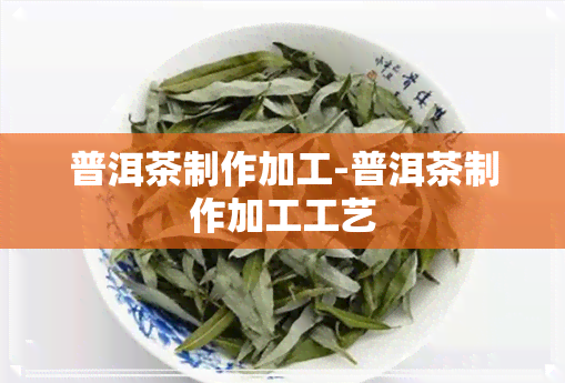 普洱茶制作加工-普洱茶制作加工工艺