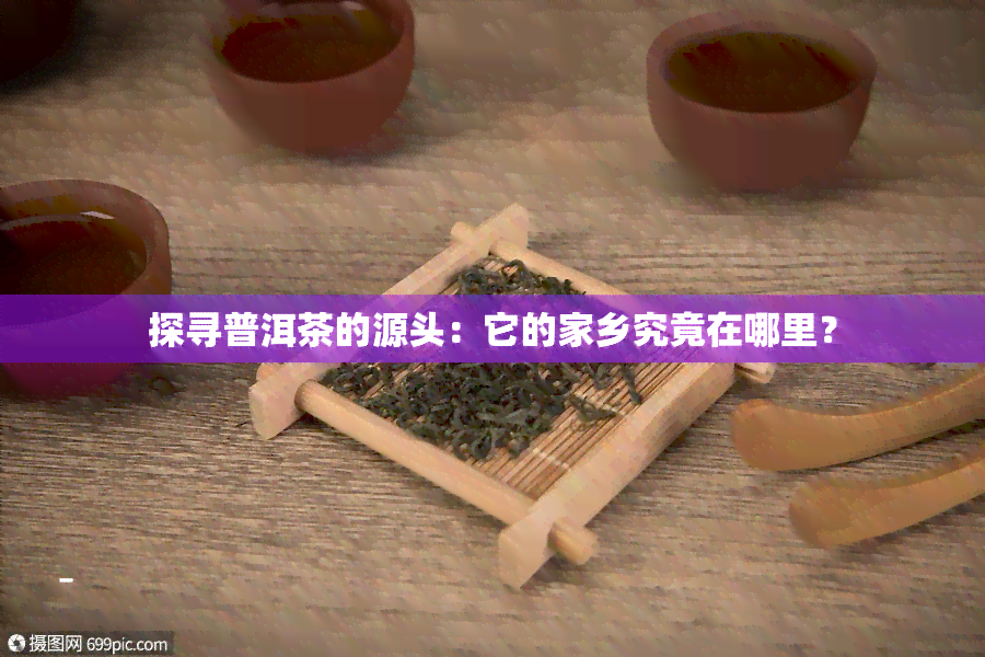 探寻普洱茶的源头：它的家乡究竟在哪里？