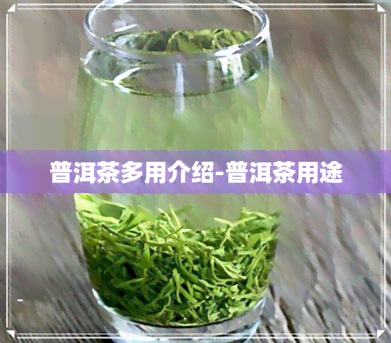 普洱茶多用介绍-普洱茶用途