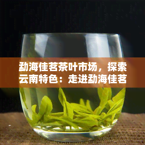 勐海佳茗茶叶市场，探索云南特色：走进勐海佳茗茶叶市场