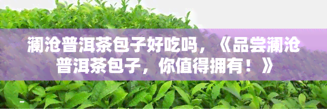 澜沧普洱茶包子好吃吗，《品尝澜沧普洱茶包子，你值得拥有！》