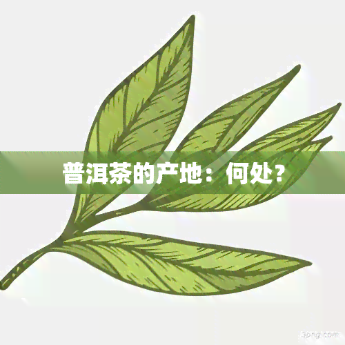 普洱茶的产地：何处？